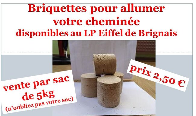 briquette 08112021.jpg